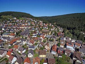 Orstansichten Tennenbronn