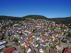 Orstansichten Tennenbronn