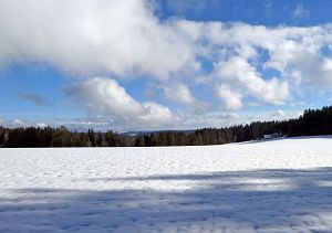 Winterwanderung