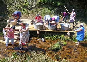 Waschweiber beim WLS Waldfest