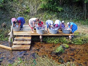 Waschweiber beim WLS Waldfest