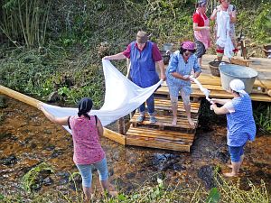 Waschweiber beim WLS Waldfest