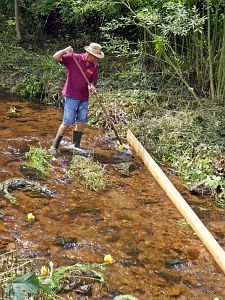 Waschweiber beim WLS Waldfest