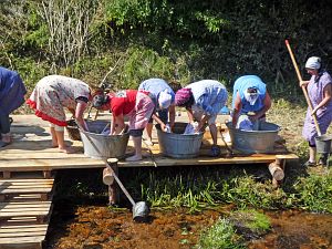 Waschweiber beim WLS Waldfest