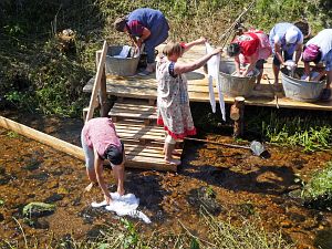 Waschweiber beim WLS Waldfest