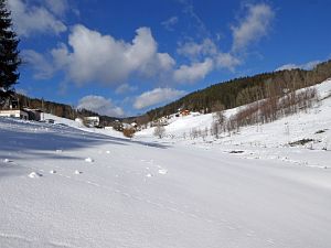 Wintergenuss in Tennenbronn