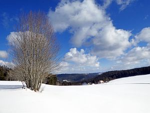 Wintergenuss in Tennenbronn