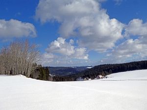 Wintergenuss in Tennenbronn