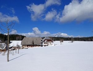 Wintergenuss in Tennenbronn