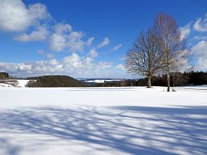 Wintergenuss in Tennenbronn