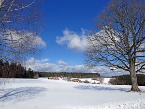 Wintergenuss in Tennenbronn