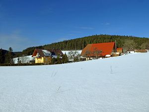 Wintergenuss in Tennenbronn