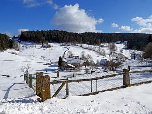 Wintergenuss in Tennenbronn