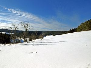 Wintergenuss in Tennenbronn
