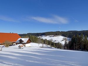 Wintergenuss in Tennenbronn