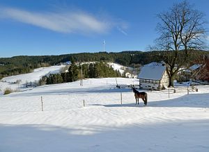Wintergenuss in Tennenbronn