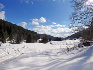 Wintergenuss in Tennenbronn