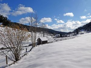 Wintergenuss in Tennenbronn