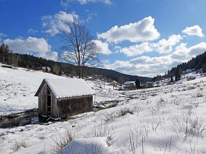 Wintergenuss in Tennenbronn