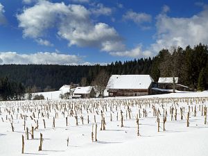 Wintergenuss in Tennenbronn