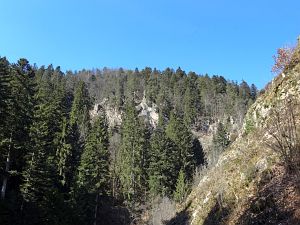 Bernecktal Teufelskueche und Berneckbutz