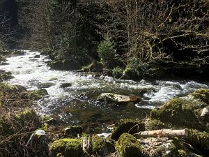 Bernecktal Teufelskueche und Berneckbutz