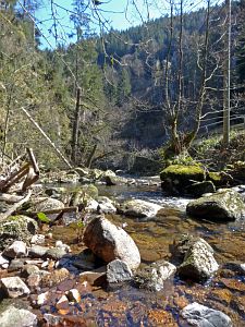 Bernecktal Teufelskueche und Berneckbutz