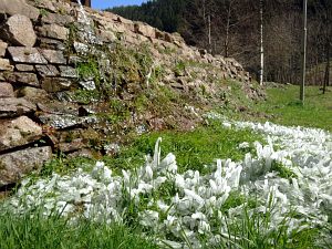 Bernecktal Teufelskueche und Berneckbutz