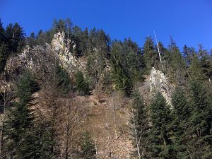 Bernecktal Teufelskueche und Berneckbutz