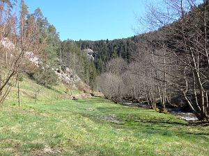 Bernecktal Teufelskueche und Berneckbutz