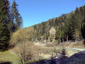 Bernecktal Teufelskueche und Berneckbutz
