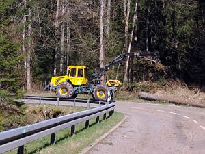 Baumfaellarbeiten im Bernecktal