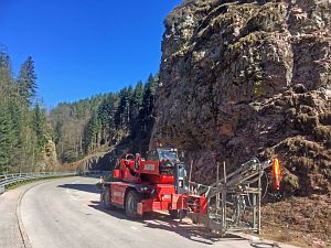 Baumfaellarbeiten im Bernecktal