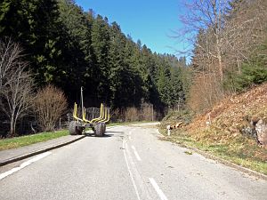 Baumfaellarbeiten im Bernecktal