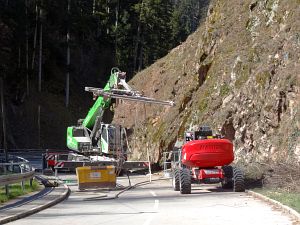 Baumfaellarbeiten im Bernecktal