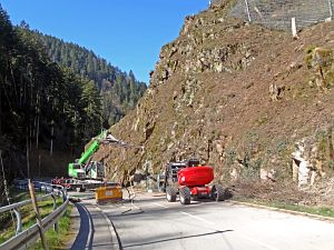 Baumfaellarbeiten im Bernecktal