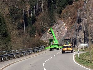 Baumfaellarbeiten im Bernecktal