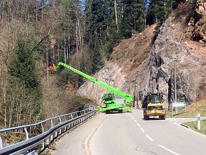 Baumfaellarbeiten im Bernecktal