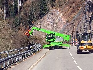 Baumfaellarbeiten im Bernecktal