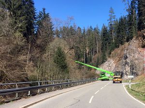Baumfaellarbeiten im Bernecktal