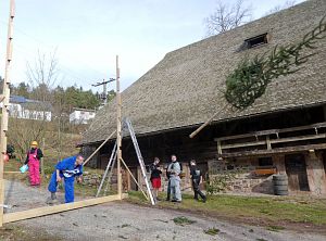 Narrenbaum Weitwurf