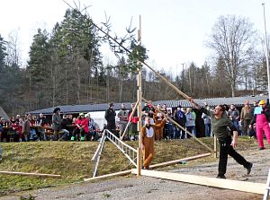 Narrenbaum Weitwurf