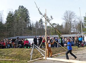 Narrenbaum Weitwurf