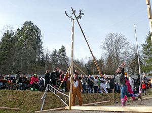 Narrenbaum Weitwurf