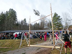 Narrenbaum Weitwurf