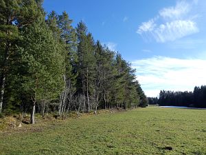 Tennenbronn im Februar