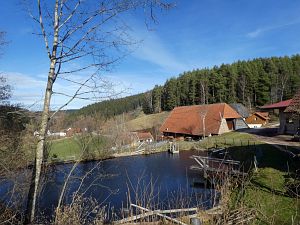 Tennenbronn im Februar