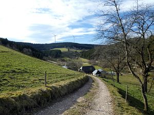 Tennenbronn im Februar