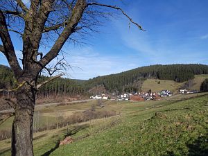 Tennenbronn im Februar
