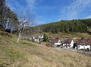 Tennenbronn im Februar